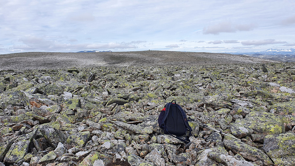 I steinrøysa på Storebottegge Ø1 (1824). Ikke lett å finne aller høyeste punkt her. Litt lengre bak og midt i bildet ses toppvarden på Storebottegge (1829).