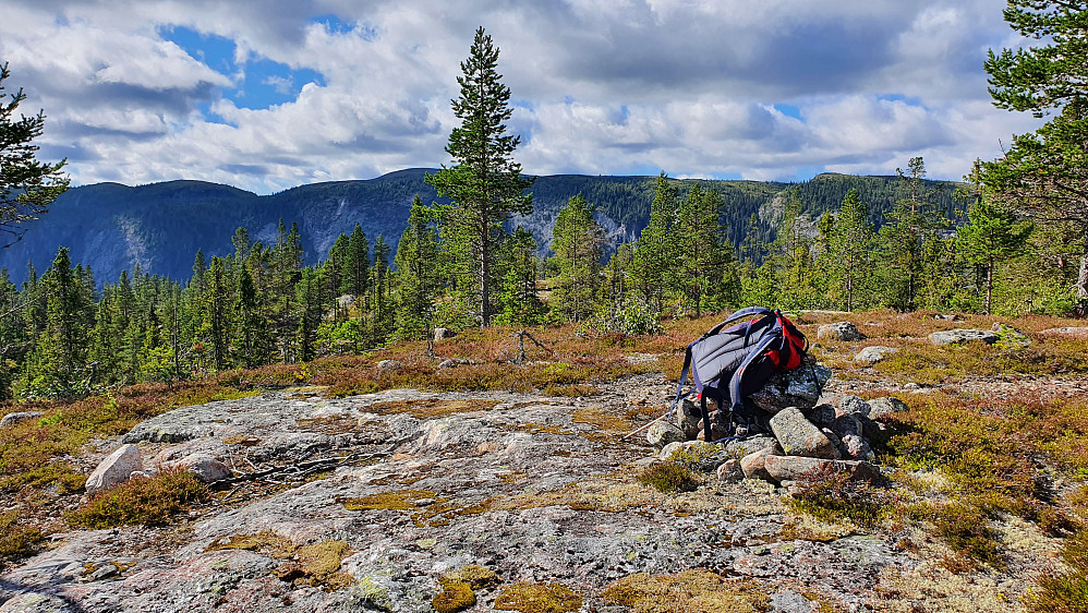 Liten toppvarde på Trytetjernåsen (894). I bakgrunnen ses Strøslifjell (1107) like til venstre for den høye furua nesten midt i bildet.