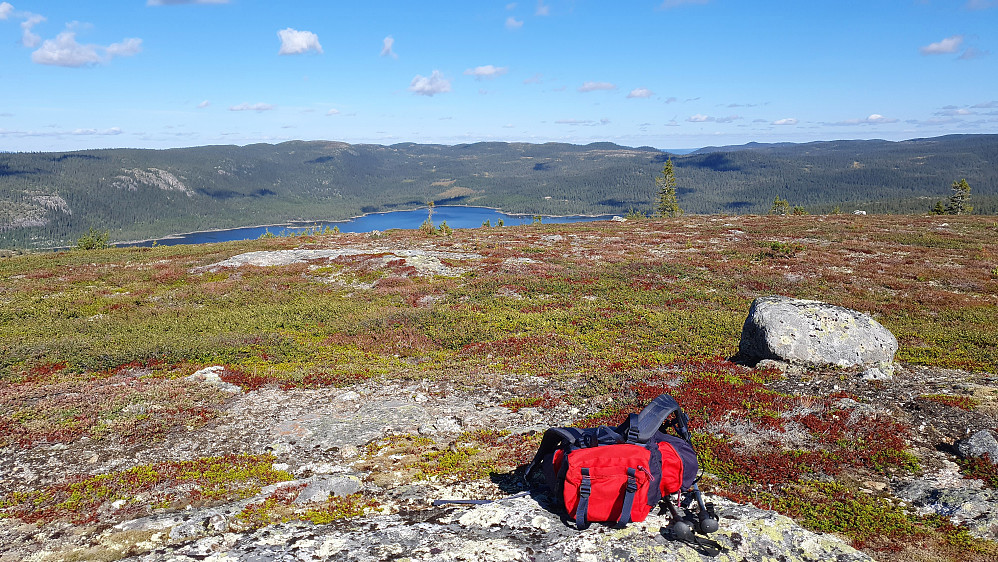 På Kvitingen (1018) var det lite trær, og utsikt i alle retninger, som her mot nordøst. Vannet i bakgrunnen er Strøen.