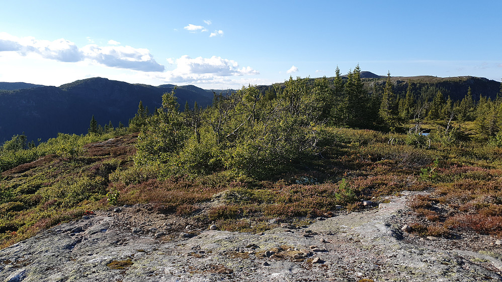 Jeg står på toppen av Bringen (995) og ser tilbake mot der jeg kom fra. Delvis bak granene høyre er Strøslifjell (1107). Mest markerte topp til venstre er Nyseternatten (1054).
