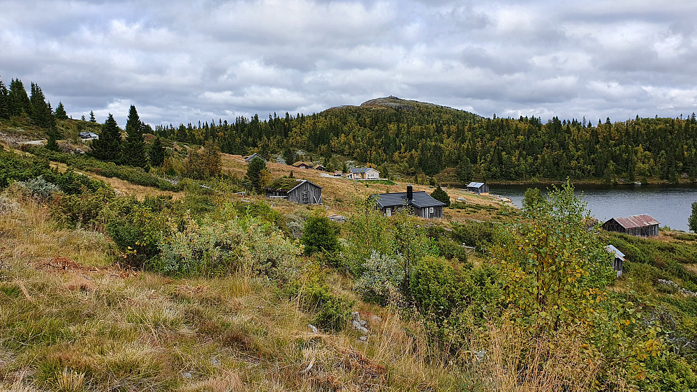 Jeg står omtrent der hvor stien til Nysetfjellet (1180) tar av fra grusveien, og ser mot turens fineste topp, Nysetknippen (1150).