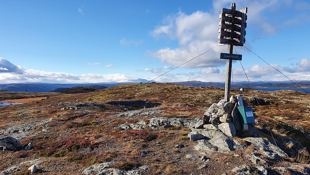 Trig.punktet på Åshovda. Aller høyeste punkt er imidlertid noen meter lengre bak midt i bildet. Helt bakerst ses Hallingskarvet hvor det virker langt mer vinterlig.