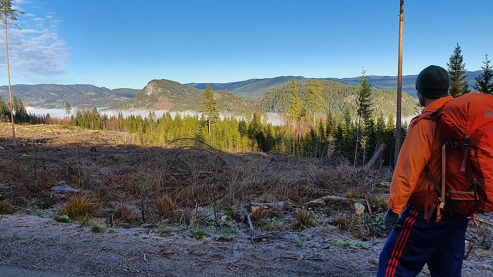 Vi har gått snaut 2 km på skogsbilveien, og ved et hogstfelt fikk vi fin utsikt nordover i Begnadalen.
