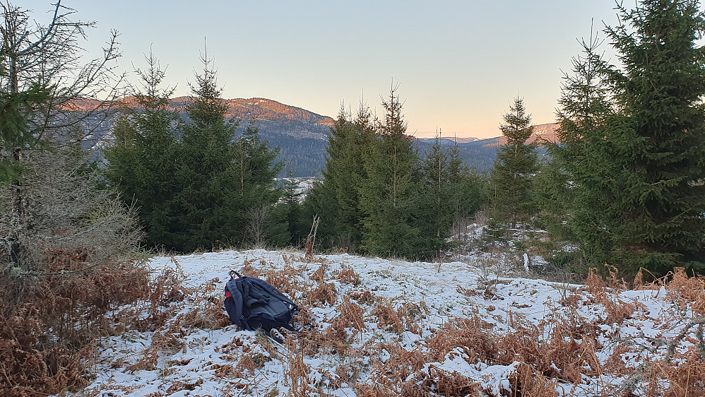 På toppen av Høghaug (264). Bildet tatt mot nord.