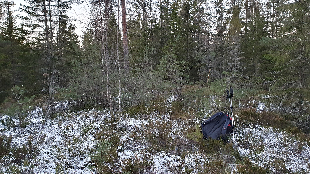 På Høghaug Sørøst (254).
