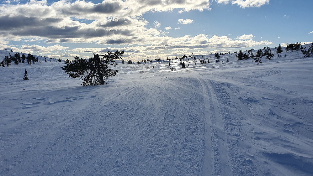 I løypa nordøst for Væråsen (812). Her blåste det friskt fra nord, og man ser snøen føyke over skiløypa.