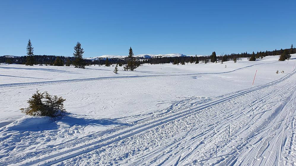 Den første, slake oppstigningen fra Skålsrudstølen er unnagjort, og jeg ser Dyna (1212) i det fjerne, midt i bildet.