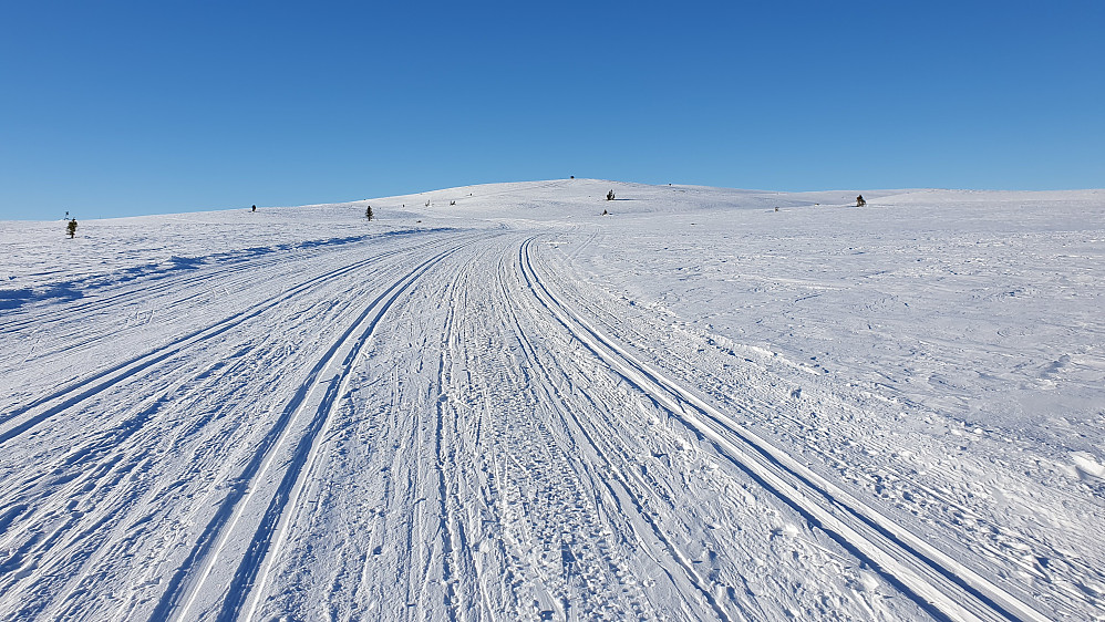 Bred skitrasé med 4 løyper siste biten opp mot Dyna (1212), hvor den svære toppvarden begynner å synes godt. 