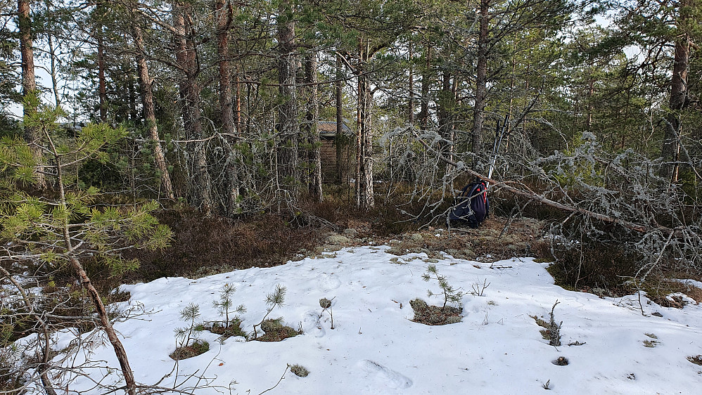 På Bjørnøyas høyeste topp (149). Bak trærne midt i bildet ses litt av den vesle bygningen som står ved masta på toppen.