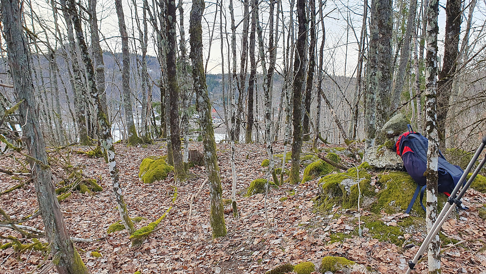 På toppen av Neshøgda (86), hvor sekken min hviler mot en liten varde bestående av 3-4 steiner. Hele toppområdet her var snøfritt. 