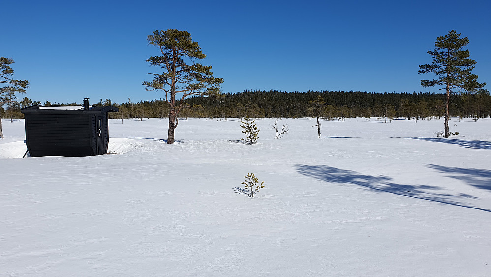 En liten koie på myra hvor jeg forlot skiløypa for å gå mot Breihøgda (530), som er den slake åsen i bakgrunnen.