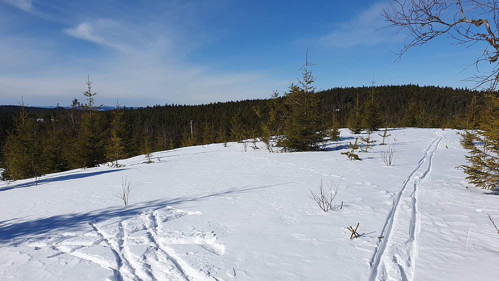 Jeg står på toppen Sør for Breihøgda (506). Bildet tatt mot nord/nordvest. Åsen til høyre med tett skog er Breihøgda (530).