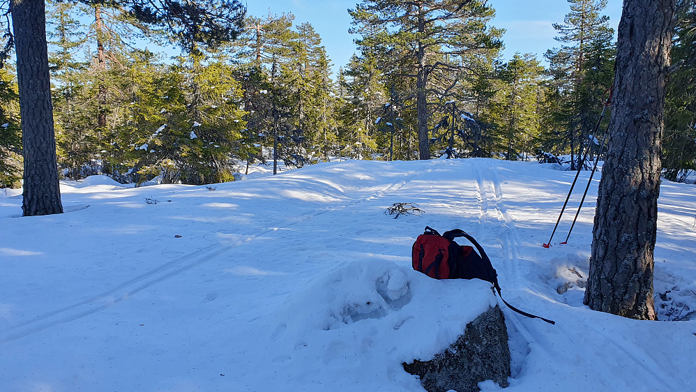 På toppen av Granberget (528) tok jeg pause ved en furu. Jeg droppet trig.punktet 200 meter lengre sørøst, siden dette er rundt 1 meter lavere.