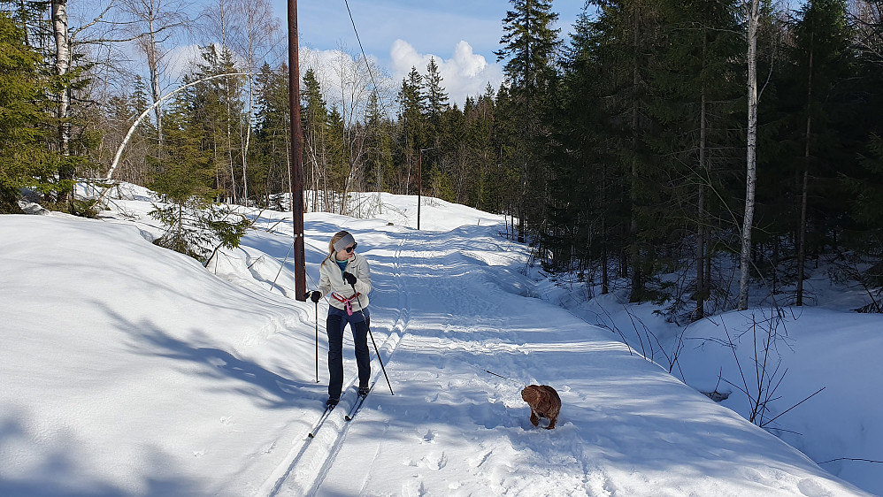 Noen cm nysnø i skitraseen opp bakkene fra boligfeltet. Her nærmer vi oss veien sør for Svarttjern hvor det var nypreparerte løyper.