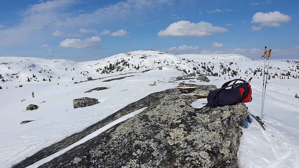 På toppen av Tinnåsen (1064), som er en lang rygg med en temmelig bratt østside. Høyden i bakgrunnen midt i bildet er Småtjernnatten (1109).