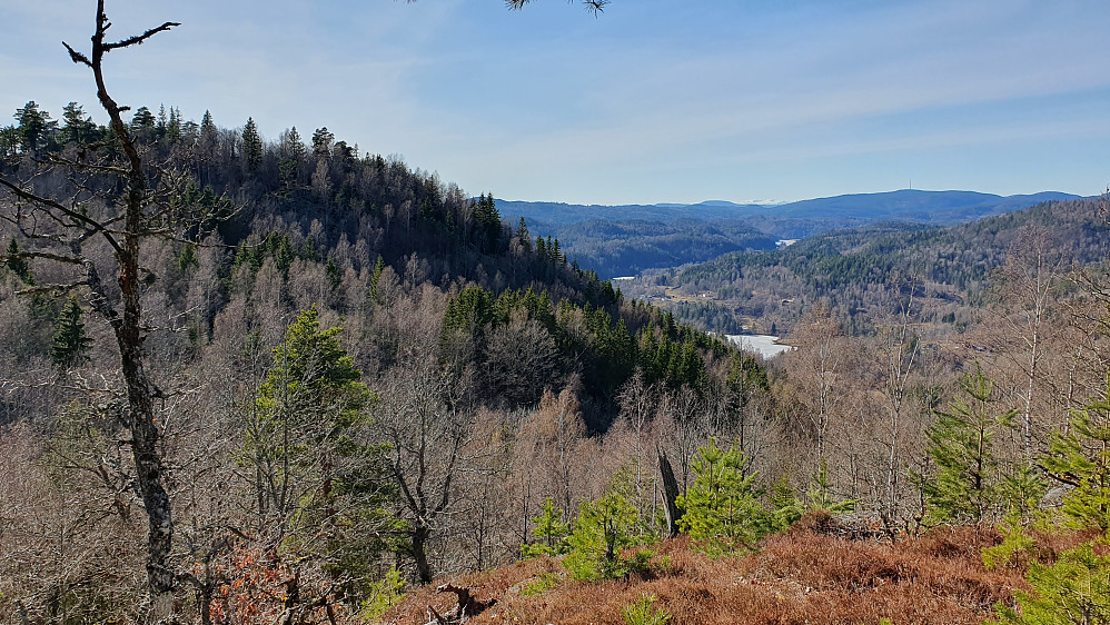 Fra toppen av Sandvikskollane Øst (227) var det fin utsikt mot nordvest. Åsen til venstre er den høyeste Sandvikskollen (252).