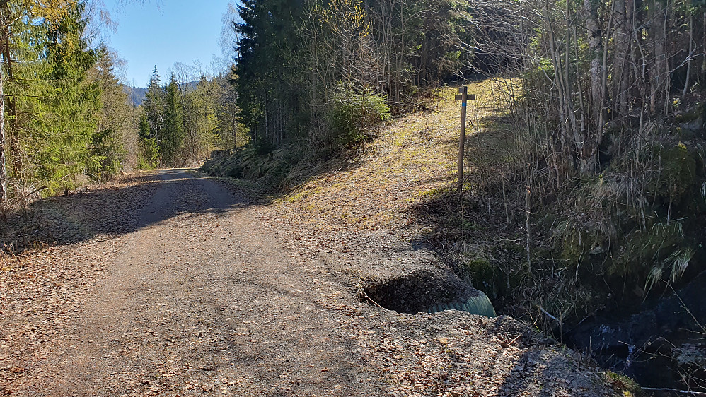 Opp mot høyre her går stien til Nordkollen. På stolpen på høyre side av stien er det skiltet "Nordkollen".