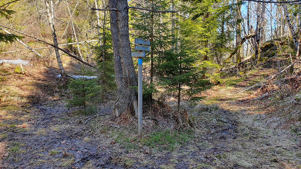 Stikrysset nede i dalen vest for Nordkollen. Til venstre i bildet, foran en snøflekk, ses et blått merke på en stolpe. Der kom jeg fra. Stien til Nordkollen går opp mot høyre her.