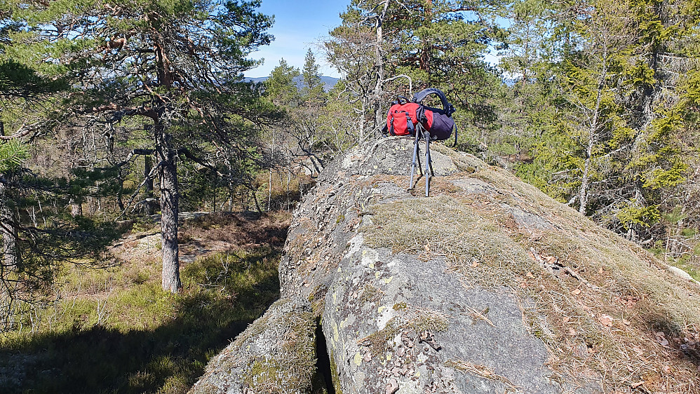 Sekken min ligger på toppen av bergknausen hvor høyeste punkt på Nordkollen (358) befinner seg. Stien ses rett bak furutreet som er nærmest til venstre.