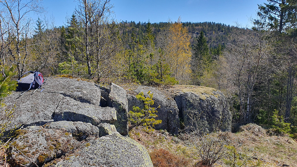 På Høgåsene (305), hvor det var trivelig og fint på toppen. Her ser vi tilbake mot Nordkollen (358), som er åsen i bakgrunnen.