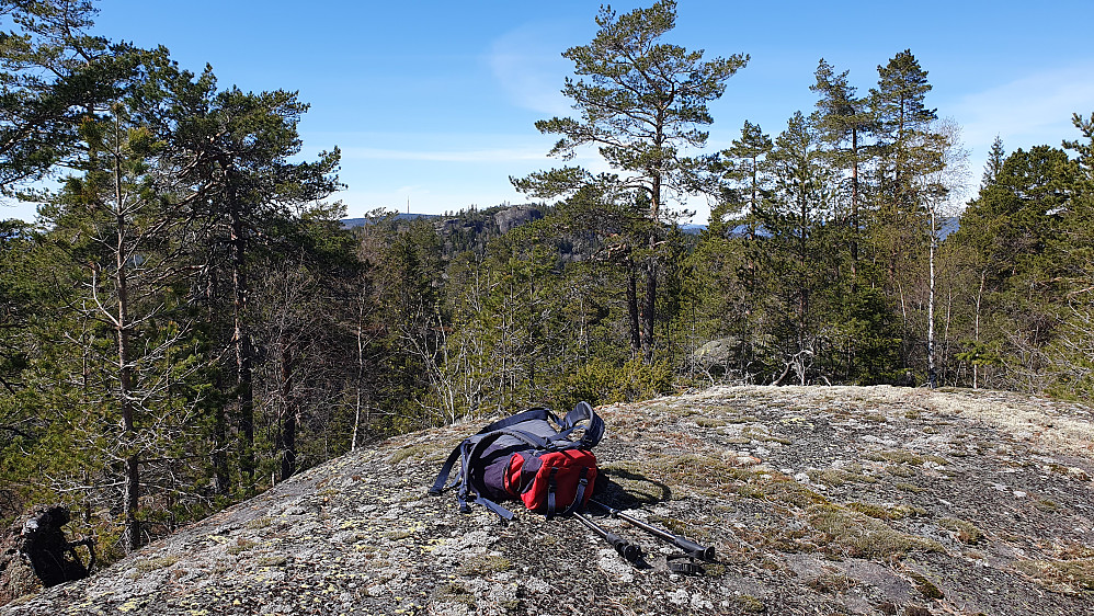 Toppunktet på Skolapparåsen (319). Herfra var det gløtt av utsikt mot bl.a. Svarteberget (359), med Vestre Vealøs (498) og den høye masta helt bakerst.