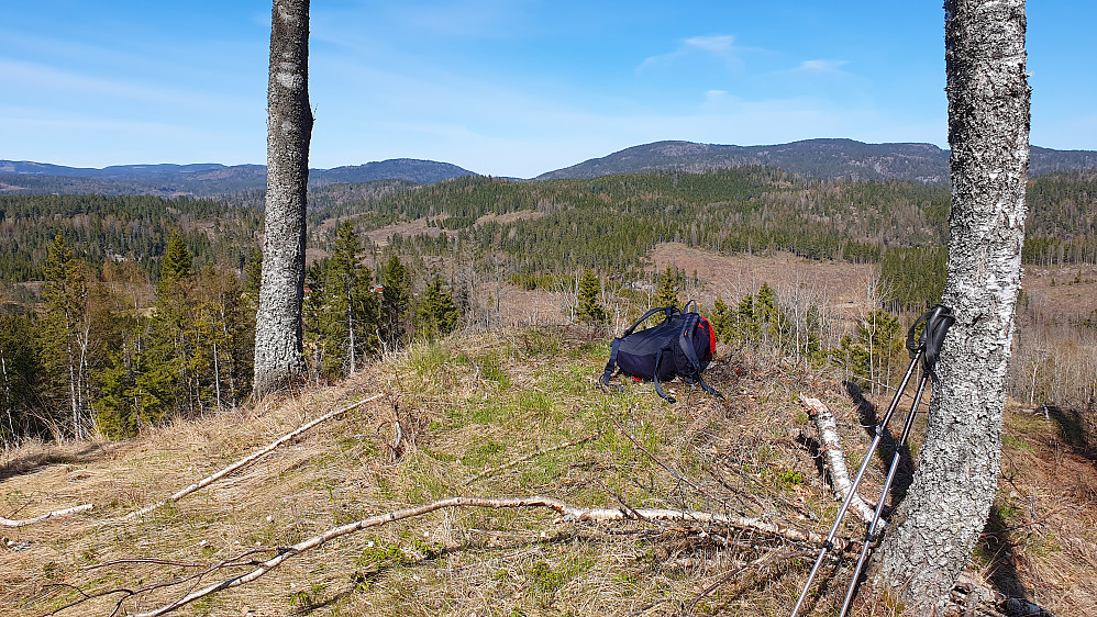Toppunktet på Grasås (201), hvor det var overraskende bra utsikt. Bildet tatt mot nord/nordøst.