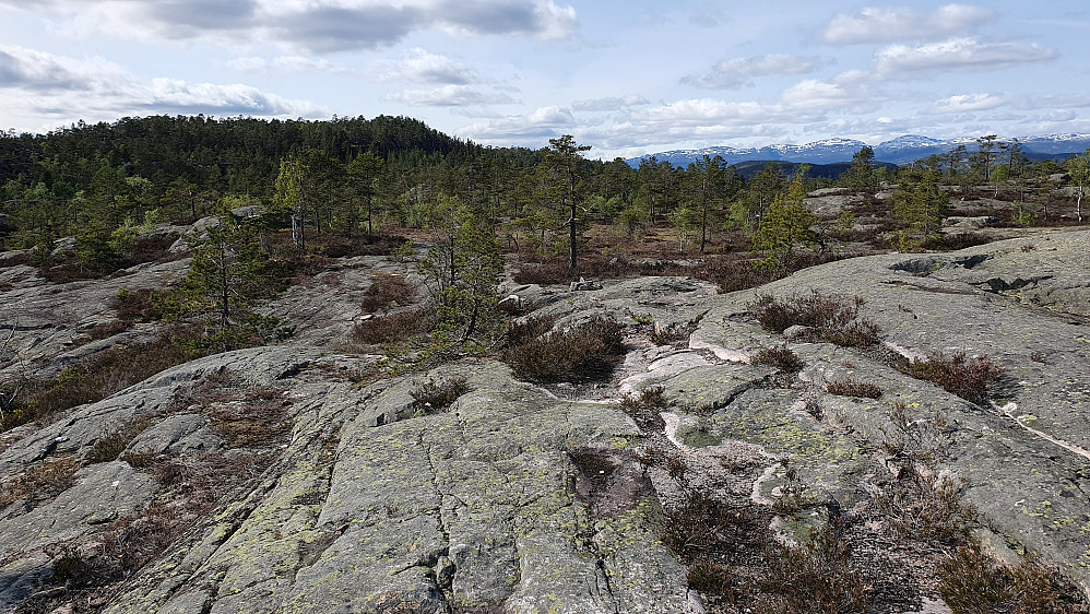 På vei opp har jeg kommet til et område med mye svaberg og åpent landskap, og ser over mot toppen av Husefjell (394), som er litt til venstre i bakgrunnen.