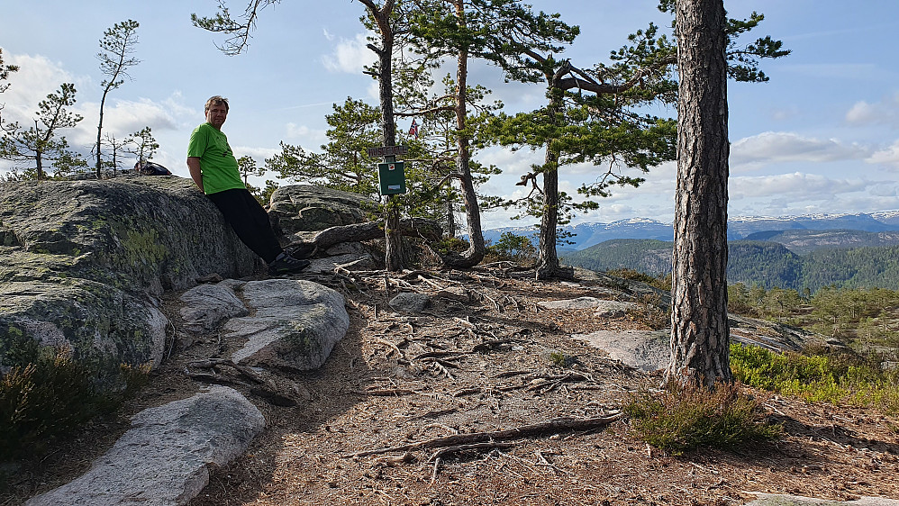 På toppen av Husefjell (394). Går man litt til høyre her får man fin utsikt mot bl.a. Lifjell, som ses bakerst til høyre.