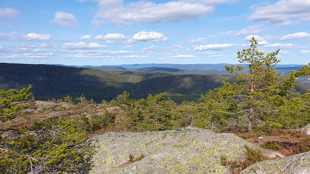 Utsikt mot nordøst fra toppen av Husefjell (394).