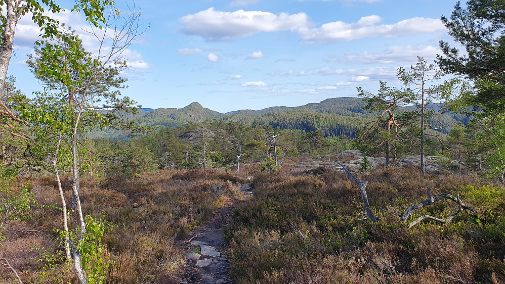 Fra returen, hvor jeg nå følger den blåmerkede stien. Den markerte og bratte toppen bak og litt til venstre, er Stasnibb (443).