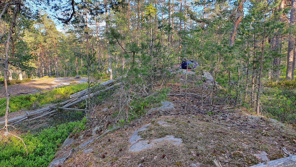 Sekken min ligger på toppen av Østerholtknatten (324). Den åpne plassen hvor postkassa henger på et tre, ses bak til venstre.
