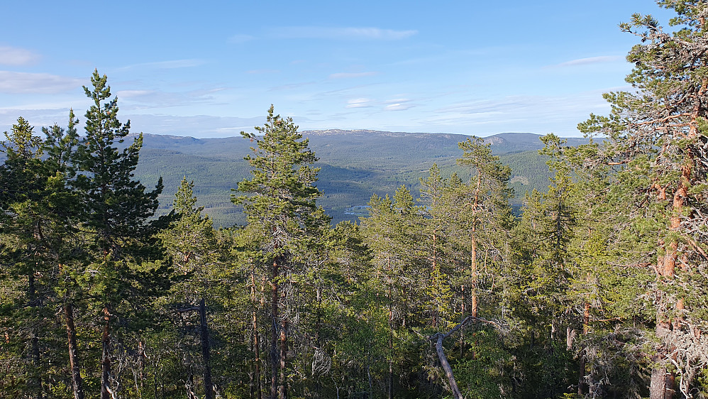Noen meter nord for toppen av Rudskollen (605) fikk jeg utsikt mot bl.a. Høgfjell (1010), som her er midt i bildet.