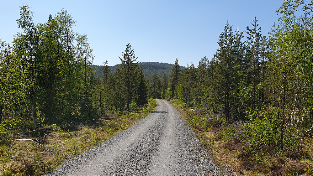 Tidlig på turen, hvor jeg følger grusveien vestover. Her er jeg like sørvest for Fagervannet. Toppen i bakgrunnen rett fram, er Nordre Kjellarfjellet (716). 