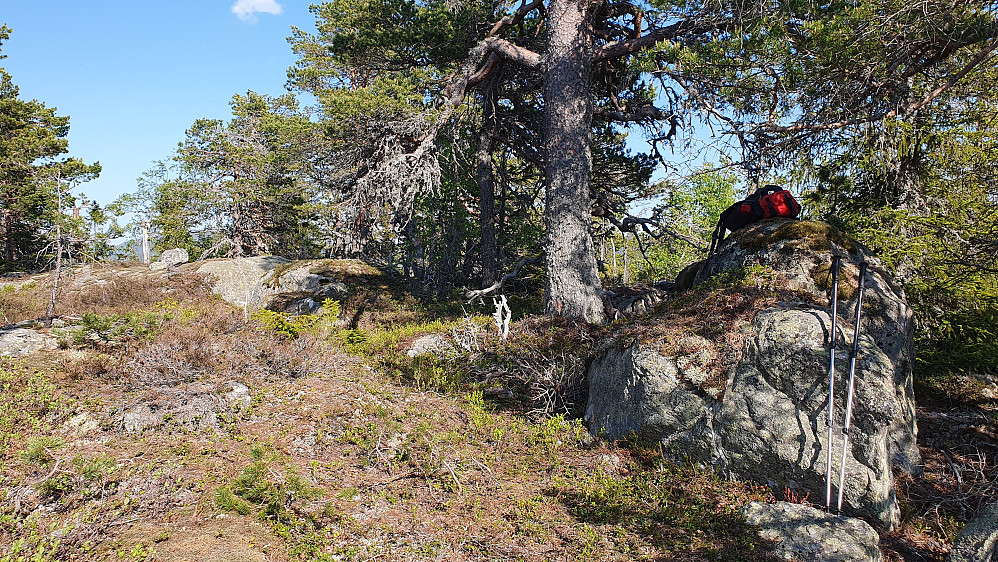 Toppområdet på Søndre Kjellarfjellet (703). Her var det også flere jevnhøye bergknauser. Sekken min ligger på en av de høyeste.