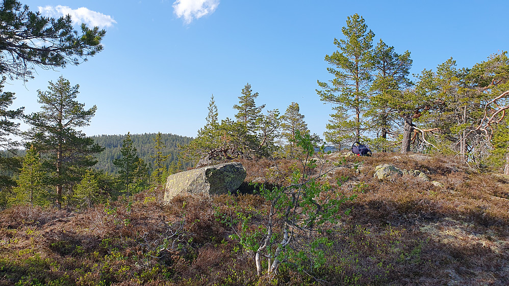 Til høyre ligger sekken min på toppen av Søndre Kjellarfjellet SØ2 (658). I bakgrunnen til venstre ses Nordre Kjellarfjellet (716).