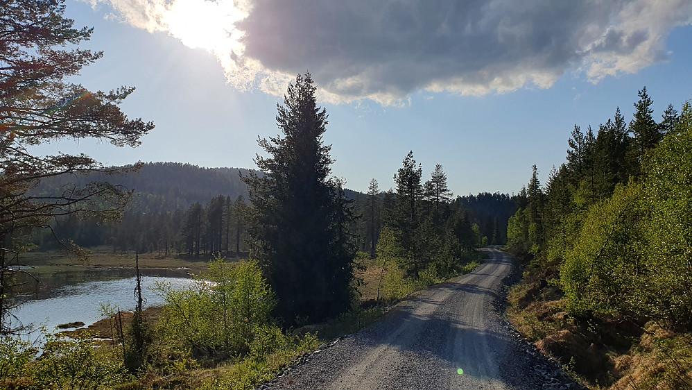 Fra returen, hvor jeg her følger grusveien langs tjernet Sjåen, som ses til venstre. Bakerst til venstre er Nordre Kjellarfjellet (716). 