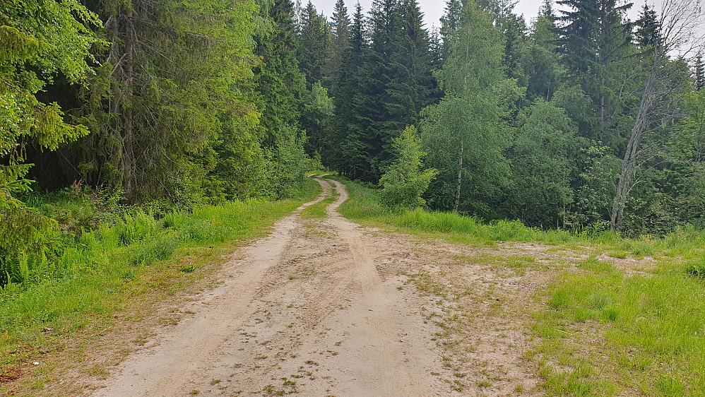 Skogsbilveien jeg fulgte begge veier. Her litt etter turstart, hvor jeg nettopp har passert noen uthus som lå inntil veien.