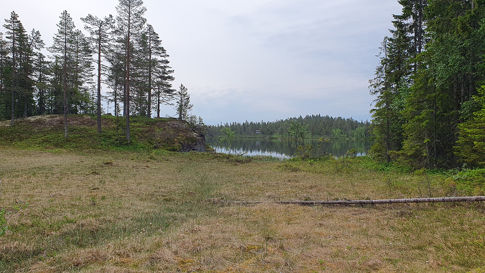 Jeg krysser myra ved nordenden av Trytetjønn, som ses noen meter lengre bak. Den vesle åsen i bakgrunnen på andre siden av vannet, er Trytetjønnhøgde (671).