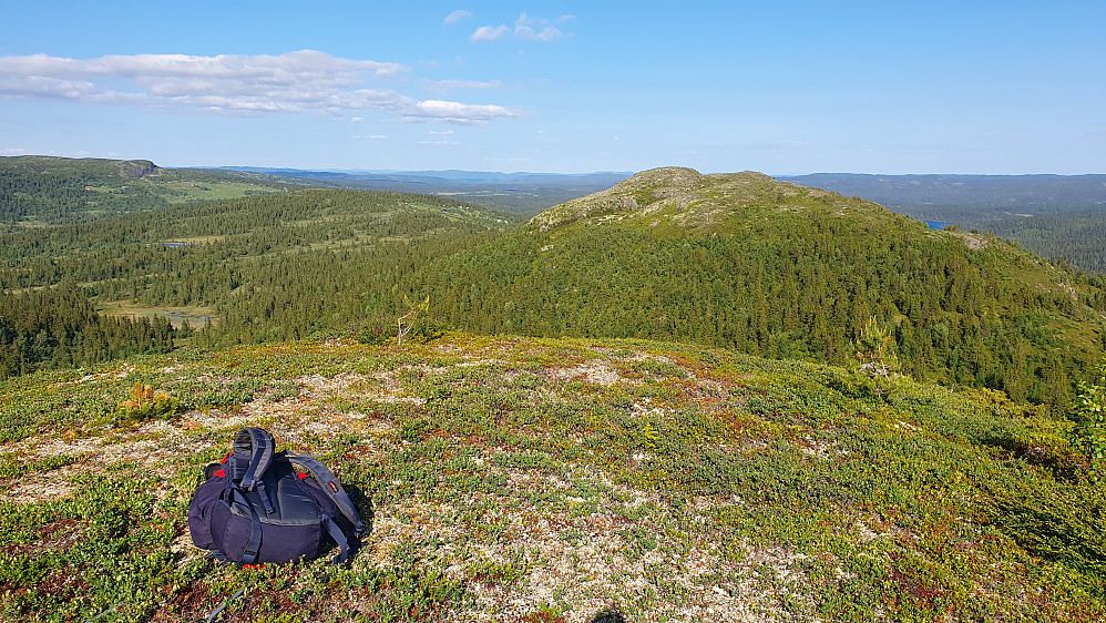 Utsikt mot øst fra toppen av Bjørnaskardberget (1086). Fjellet litt til høyre i bildet er Nosi (1085).