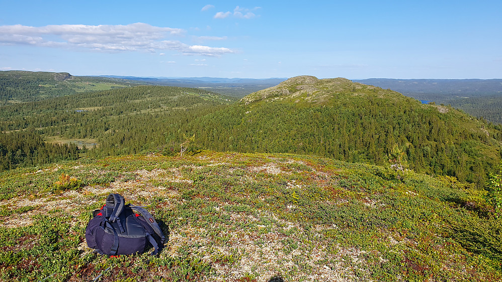 Utsikt mot øst fra toppen av Bjørnaskardberget (1086). Fjellet litt til høyre i bildet er Nosi (1085).