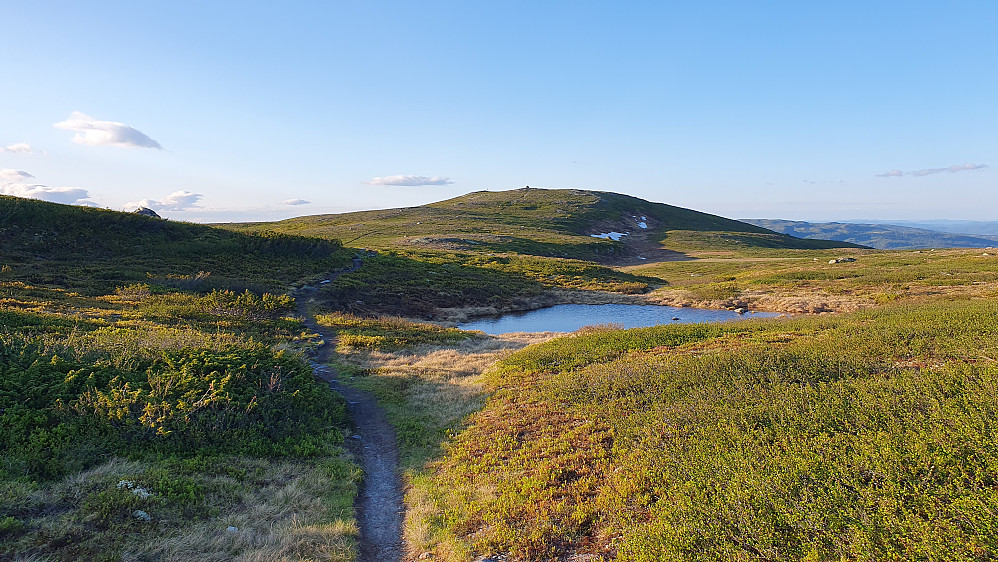 Toppen på Rauddalsfjellet (1205) har dukket opp etter en seig motbakke. Herlig og lett fjellterreng å gå i her, og god sti.