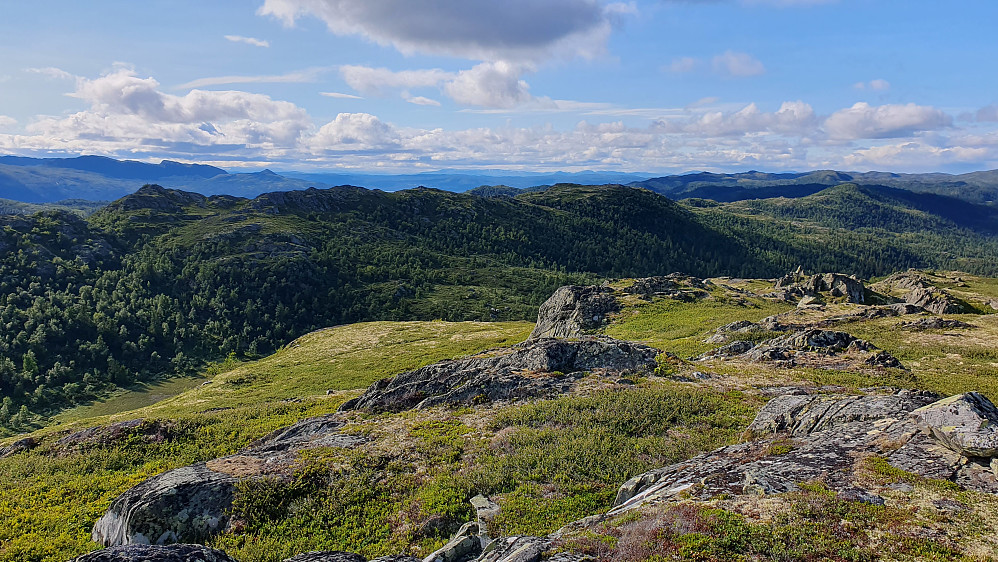 På Bjørstølfjellet (1136), med utsikt mot bl.a. hele Ryggfjellet.
