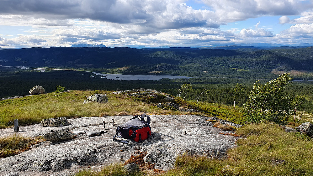 God utsikt fra toppen av Bergsjøåsen (1091). Her i retning nordvest. Langt bak til venstre ses Hallingskarvet. Nede i dalen til venstre ses Dagali flyplass.