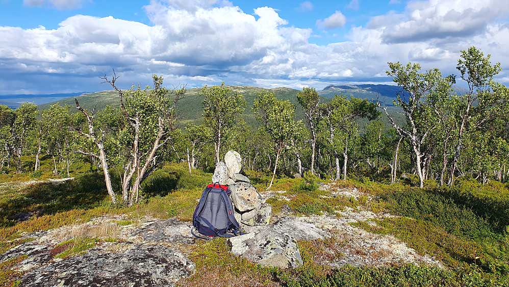Størst toppvarde av turens tre topper hadde faktisk Bergsjøåsen Ø2 (1065). Her med utsikt rett mot øst.