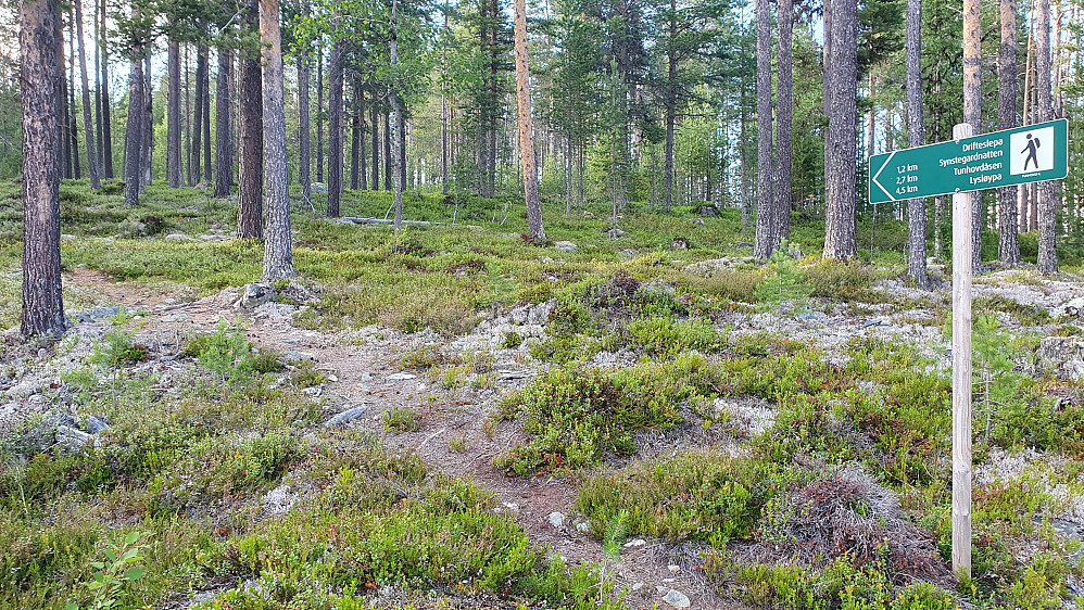 Stistart like ovenfor Tunhovdkrysset.