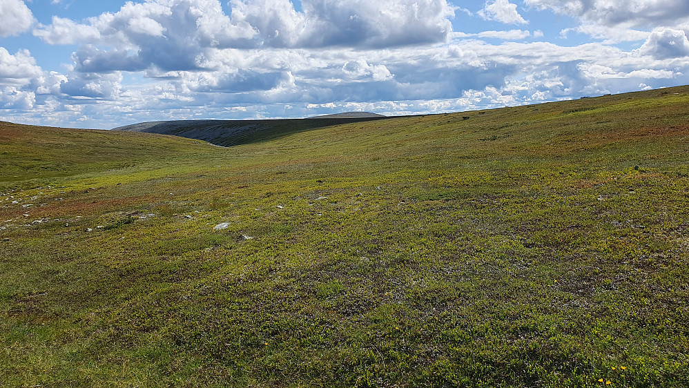 Det usedvanlig lettgåtte terrenget like øst for Slettflåhøa (1154). Her ser vi sørover, i retningen jeg skulle gå. Fjellet som stikker opp midt i bildet er Eltdalsskardet (1148).