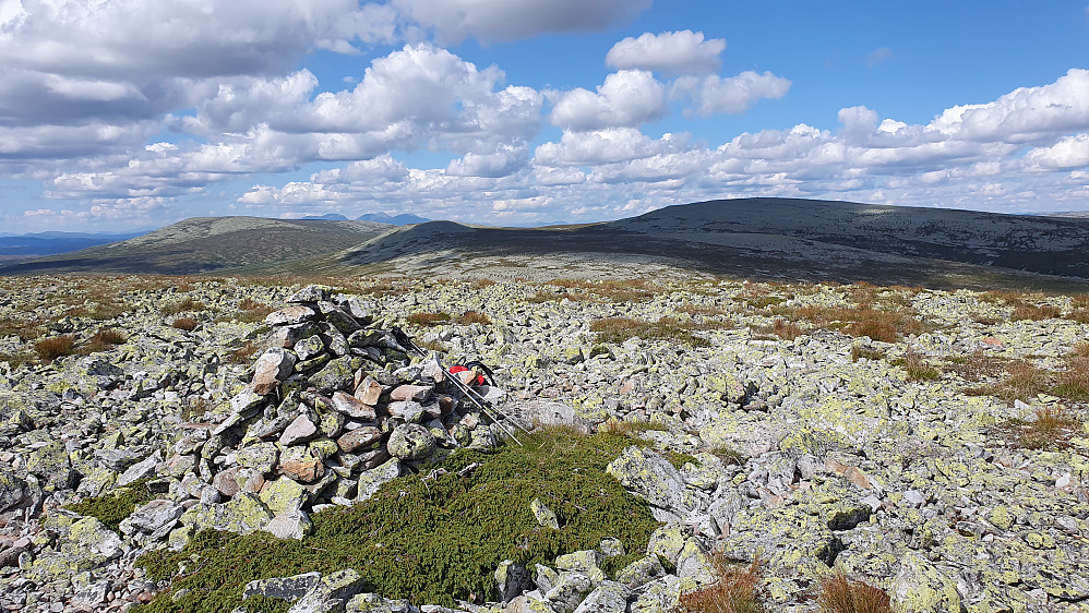 Ved toppvarden på Eltdalsskardet (1148). I bakgrunnen til høyre er Kampflåhøgda (1207). Langt bak og litt til venstre for midten stikker Sølen (1755) opp.