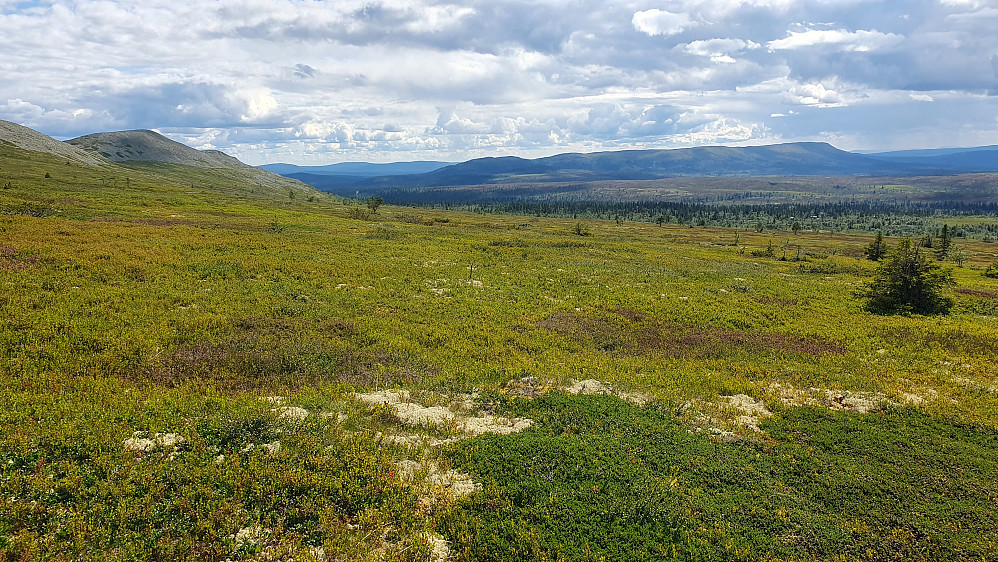 På vei ned fra Eltdalsskardet (1148). Bildet tatt sørover. Toppene til venstre er Skardhamrane. Det flate fjellet til høyre i bildet er Blikufjellet (991).