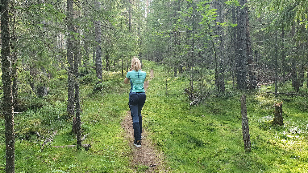Nedre del av stien, litt etter at vi forlot grusveien.