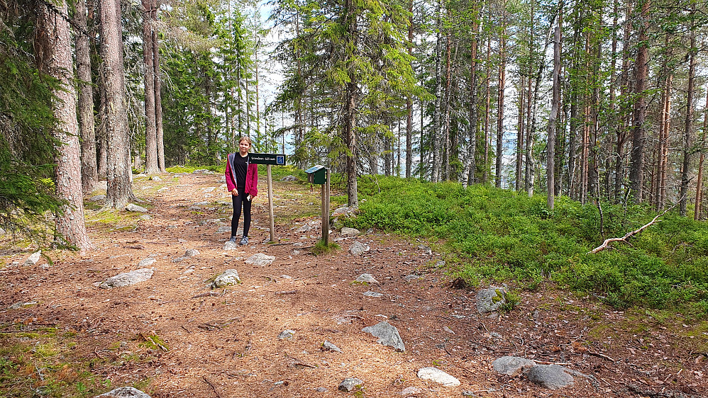 På toppen av Grimsåsen (625).
